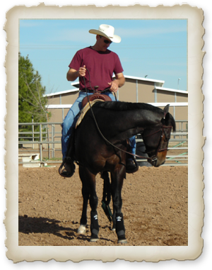 Fred Fisher Light Rein Horses