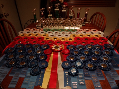 2012 horse show awards molly and katie 104 500x375